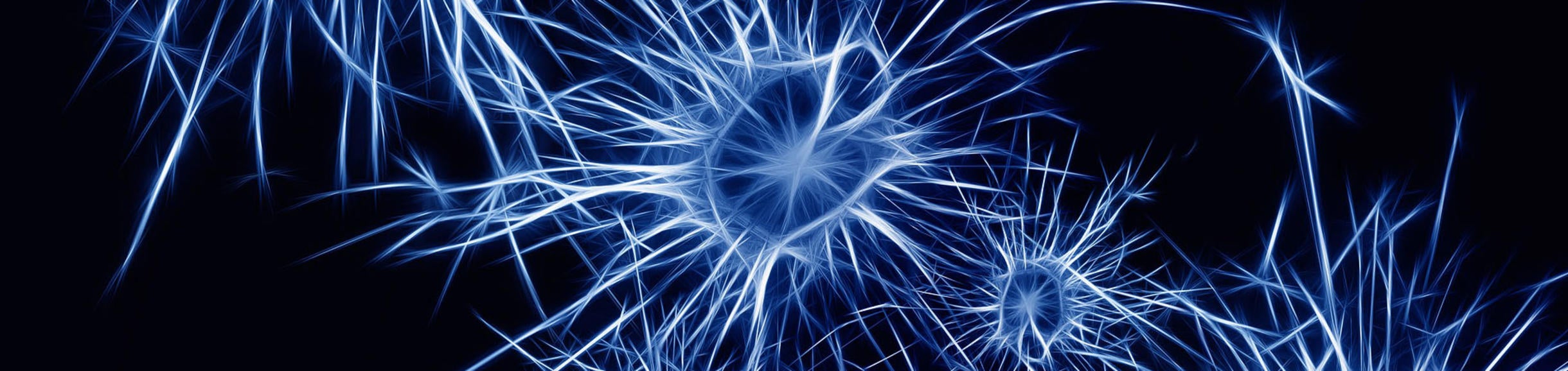 Neurons / Pixabay
